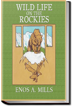 Wild Life on the Rockies | Enos Abijah Mills